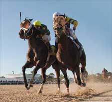 Kentucky Derby Trail: Finally Making Some Sense of it All Kentucky Derby Trail: Finally Making Some Sense of it All