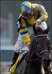 Travers Aftermath: Top Four Finishers Recover Well Travers Aftermath: Top Four Finishers Recover Well