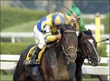 Street Sense, Hard Spun to Meet in Kentucky Cup Classic Street Sense, Hard Spun to Meet in Kentucky Cup Classic