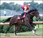 Street Sense Works Five Furlongs at Churchill