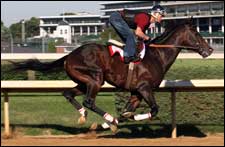 Street Sense, Curlin Work at Churchill Downs Street Sense, Curlin Work at Churchill Downs