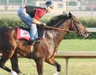 Street Sense Headed to Monmouth 