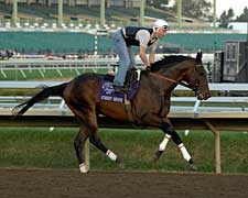 Street Sense Sizzles in Final BC Work Street Sense Sizzles in Final BC Work