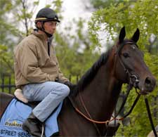 Ocala Stud, O'Farrell Rooting for Street Sense in Preakness Ocala Stud, O'Farrell Rooting for Street Sense in Preakness