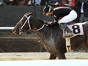 Street Story Best in Sloppy Oaklawn Opener Street Story Best in Sloppy Oaklawn Opener
