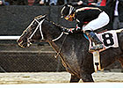 Street Story Best in Sloppy Oaklawn Opener Street Story Best in Sloppy Oaklawn Opener
