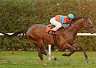 Strike a Deal Gets Elusive Victory in NY