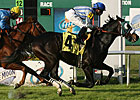 Rivals Battle in Col. Bradley Handicap Rivals Battle in Col. Bradley Handicap