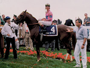 KY Derby Winner Strike the Gold Dead at 23 KY Derby Winner Strike the Gold Dead at 23