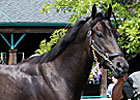 Keeneland Gets Started With Transylvania Keeneland Gets Started With Transylvania