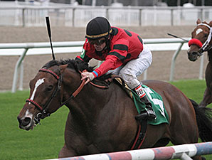 String King to Try Dirt at Fair Grounds String King to Try Dirt at Fair Grounds