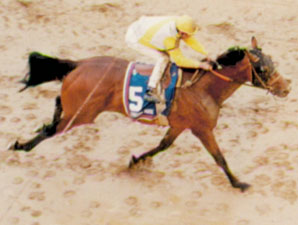 Derby Runner-Up Strodes Creek Dead Derby Runner-Up Strodes Creek Dead