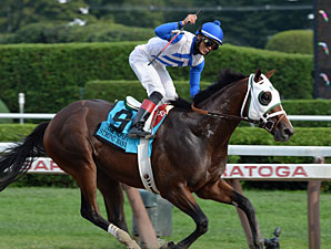 Hopeful Hero Strong Mandate Zips at Churchill Hopeful Hero Strong Mandate Zips at Churchill