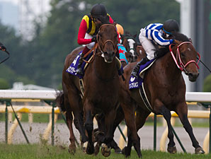 Strong Return Sets Mark in Yasuda Kinen Win Strong Return Sets Mark in Yasuda Kinen Win