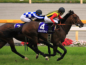 Familiar Rivals Face Off in Mile Championship Familiar Rivals Face Off in Mile Championship