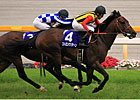 Familiar Rivals Face Off in Mile Championship Familiar Rivals Face Off in Mile Championship