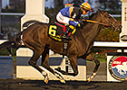 Strut the Course Makes Grade in Maple Leaf Strut the Course Makes Grade in Maple Leaf
