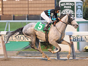 Stud Muffin Struts All in Empire Classic Stud Muffin Struts All in Empire Classic