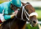 Student Council Opts for Japan Cup Dirt