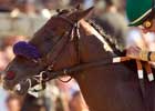 Student Council May Run in Japan Cup Dirt versus BC Classic