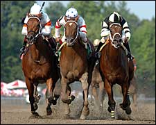 Adirondack to Host Impressive Field of Juvenile Fillies Adirondack to Host Impressive Field of Juvenile Fillies