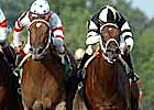 Adirondack to Host Impressive Field of Juvenile Fillies Adirondack to Host Impressive Field of Juvenile Fillies
