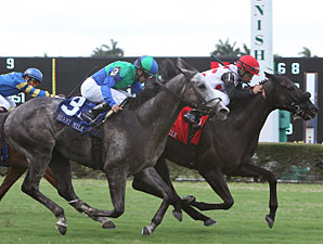 Successful Mission Makes Most of Miami Mile Successful Mission Makes Most of Miami Mile