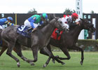 Successful Mission Makes Most of Miami Mile
