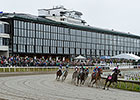 New Board to Represent New England Horsemen New Board to Represent New England Horsemen