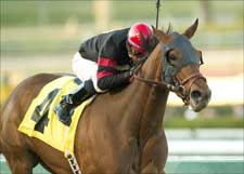 Sugar Shake Keeps Frankel Happy in El Encino Sugar Shake Keeps Frankel Happy in El Encino