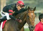 Sugar Shake Looks to Sound 'Alarm' at Aqueduct Sugar Shake Looks to Sound 'Alarm' at Aqueduct