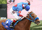 Sugar Shock Surely Best in Fantasy Stakes Sugar Shock Surely Best in Fantasy Stakes