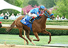 Featured Horse Profile: Sugar Shock Featured Horse Profile: Sugar Shock