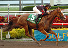 Sugar Swirl One To Beat in Shirley Jones