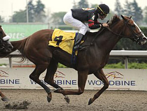 Sugar Swirl Scores in Ballerina Tune-Up Sugar Swirl Scores in Ballerina Tune-Up