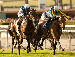 Suggestive Boy Wins Kilroe Mile Thriller