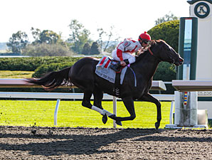 Breeders' Cup Contenders Breeze at Keeneland Breeders' Cup Contenders Breeze at Keeneland