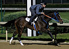 Three Oaks Contenders Turn in Solid Drills