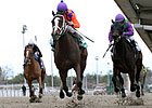 Summer Applause Tops Six-Horse FG Oaks Field Summer Applause Tops Six-Horse FG Oaks Field