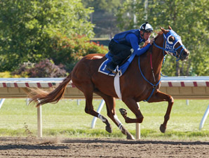 Summer Bird Drills Six Furlongs at Monmouth Summer Bird Drills Six Furlongs at Monmouth