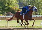 Summer Bird Drills Six Furlongs at Monmouth Summer Bird Drills Six Furlongs at Monmouth