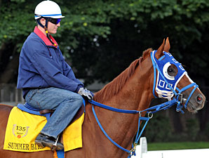 Belmont Contenders Post-Race Statuses Updated Belmont Contenders Post-Race Statuses Updated