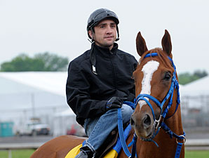Ice Confident in Belmont-Bound Summer Bird Ice Confident in Belmont-Bound Summer Bird