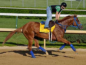 Jayaramans Hope Belmont is For the Birds Jayaramans Hope Belmont is For the Birds