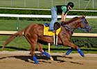 Jayaramans Hope Belmont is For the Birds