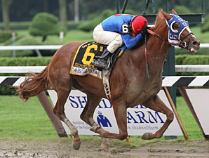 Horses Prepare for Belmont's Super Saturday Horses Prepare for Belmont's Super Saturday