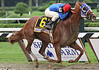 Summer Bird Takes Flight in Travers Victory
