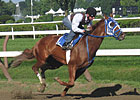 Weather Could Be a Big Factor in Travers