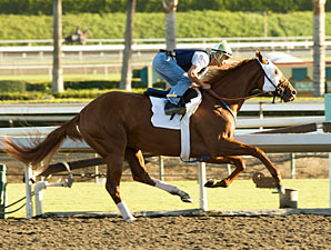 Summer Bird Has First Work at Santa Anita Summer Bird Has First Work at Santa Anita