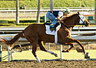 Summer Bird Has First Work at Santa Anita